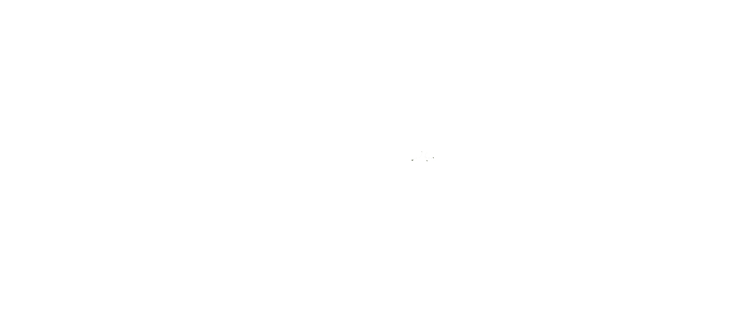 Village on the Green logo